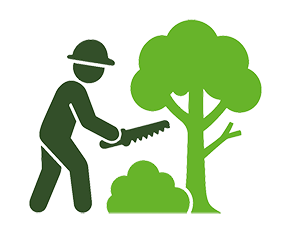 Baumpflege