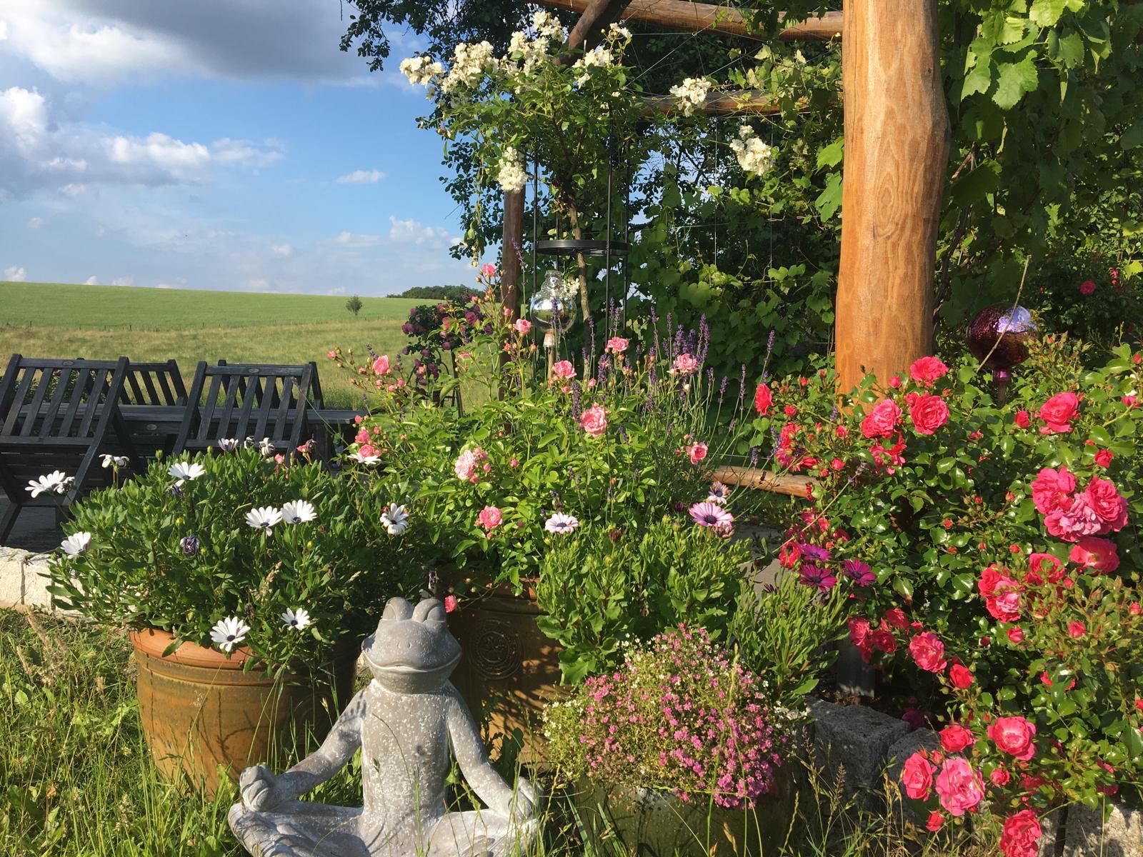 Blumenwiese mit gepflegten Sträuchern – professionelle Baumpflege vom Meisterbetrieb Thorsten Dallmann im Bergischen Land